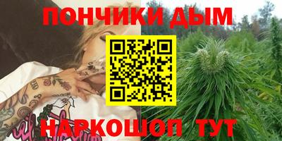 индика Ирбит
