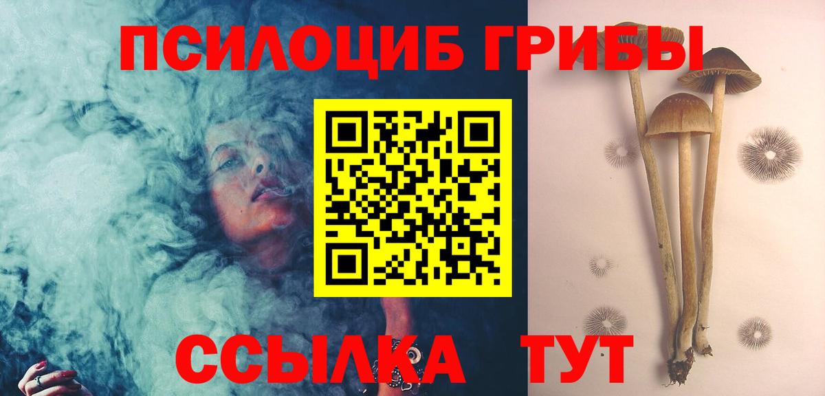 Галлюциногенные грибы Psilocybine cubensis  Вход с VPN  Волоколамск 